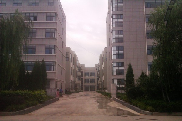 分公司交房在即