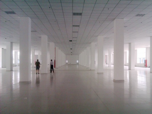 公司高层赴高新区落实分公司厂房装修布置事宜