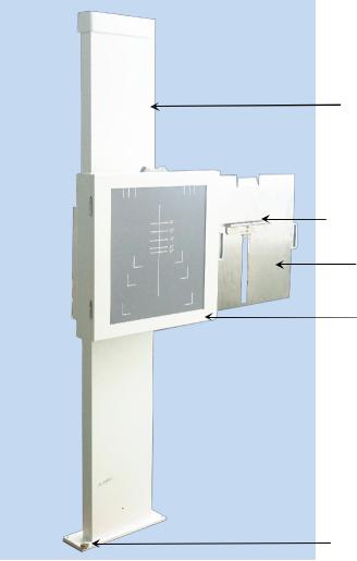 侧装片胸片架结构