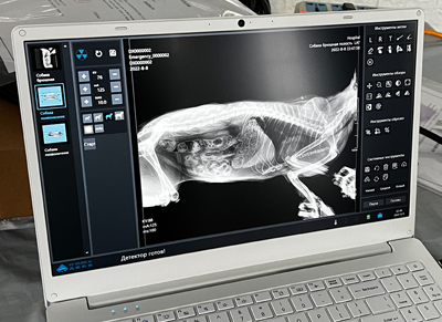 有可以拍牛马的兽用X光机吗