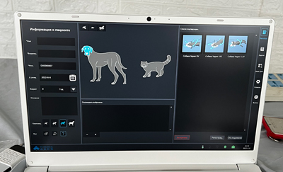 宠物X光机能拍哪些部位