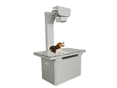 小动物用高频X光机 小动物用高频X光机