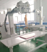 华锐的数字X光机可以用于给海洋动物使用查体吗