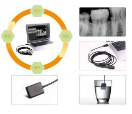牙科数字DR探测器
