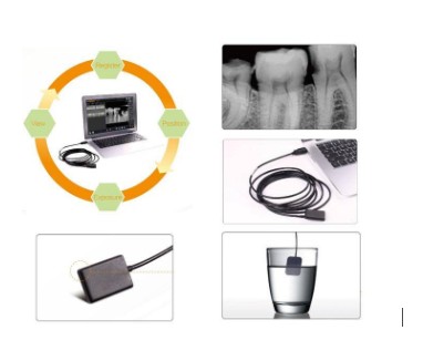 牙科数字传感器