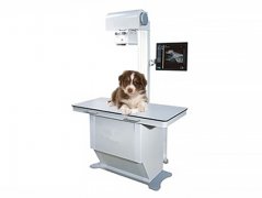 临沂客户咨询宠物便携机拍摄40公斤以下的小狗