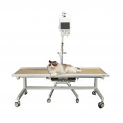 可以拍牛马四肢的X光机