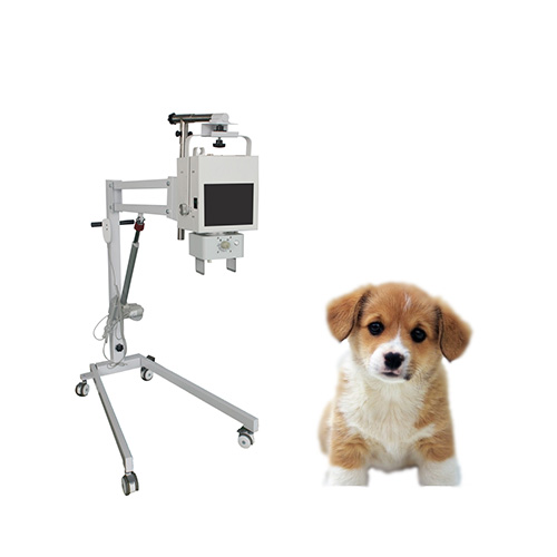 兽用X光机，宠物X光机