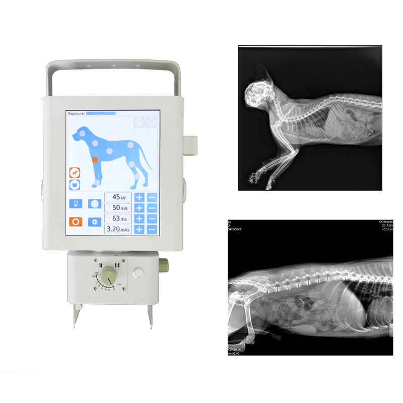 宠物X光机拍片效果图