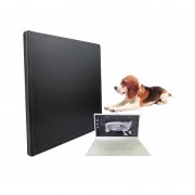 DR探测器的4种类型